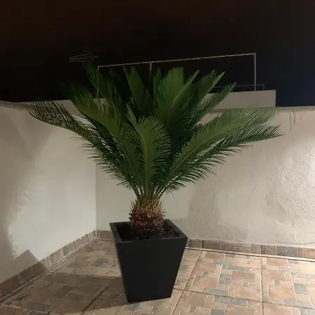 Aparthotel Rosaura Las Palmas
