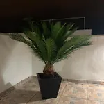 Aparthotel Rosaura Las Palmas / Gran Canaria
