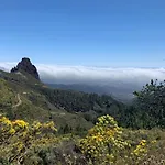 Rosaura Las Palmas / Gran Canaria